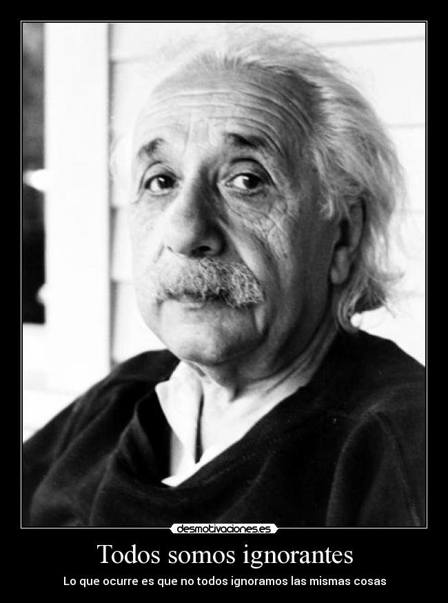 carteles albert einstein gran frase ignorantes ignoramos las mismas cosas desmotivaciones