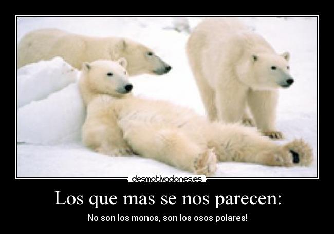 Los que mas se nos parecen: - 