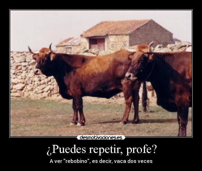 ¿Puedes repetir, profe? - 