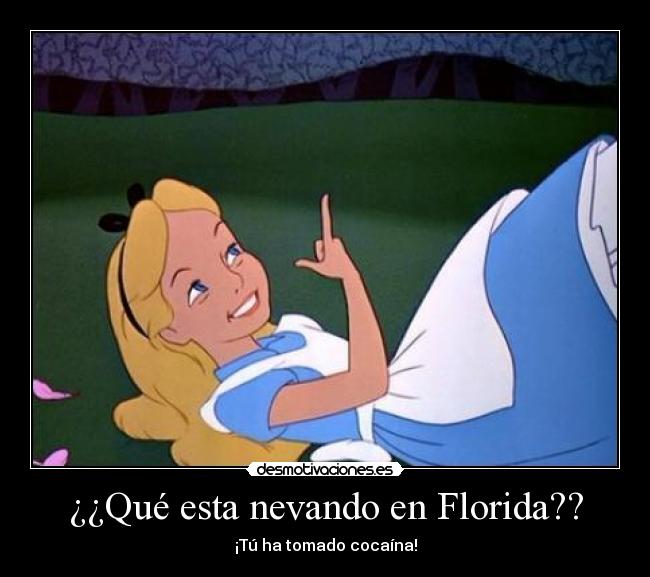 ¿¿Qué esta nevando en Florida?? -