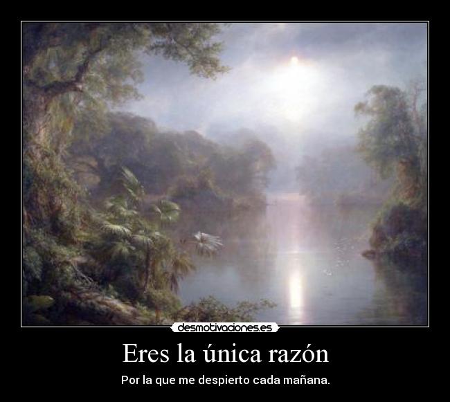 Eres la única razón - 