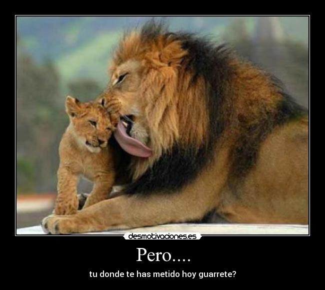 Pero.... - tu donde te has metido hoy guarrete?