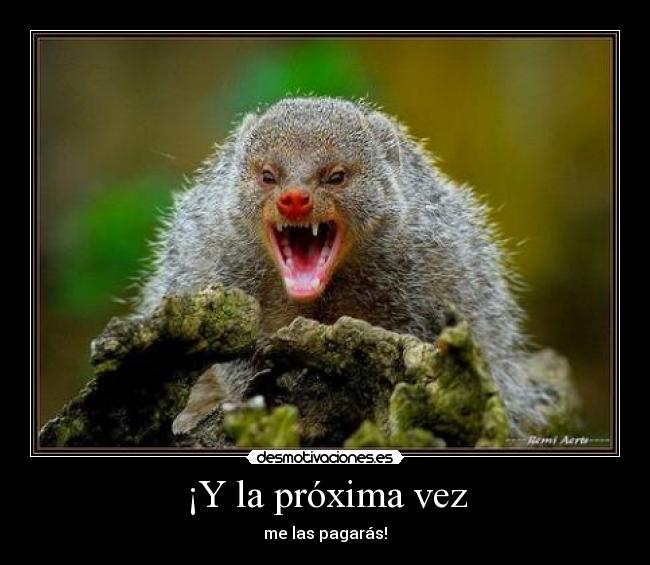 ¡Y la próxima vez -