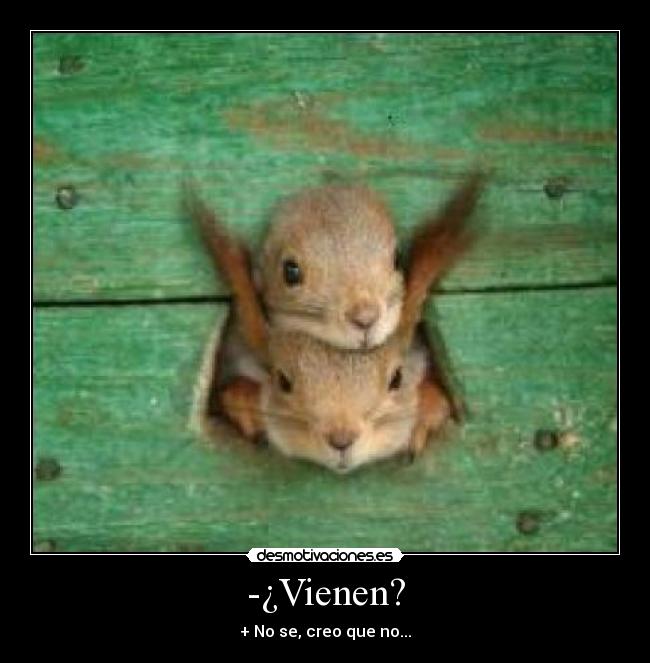 -¿Vienen? - + No se, creo que no...