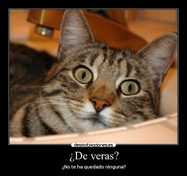 ¿De veras? - ¿No te ha quedado ninguna?