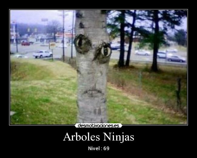 Arboles Ninjas - Nivel : 69