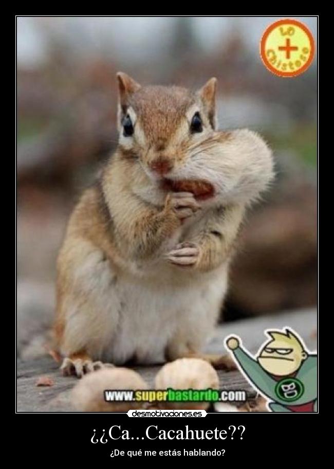 ¿¿Ca...Cacahuete?? - ¿De qué me estás hablando?