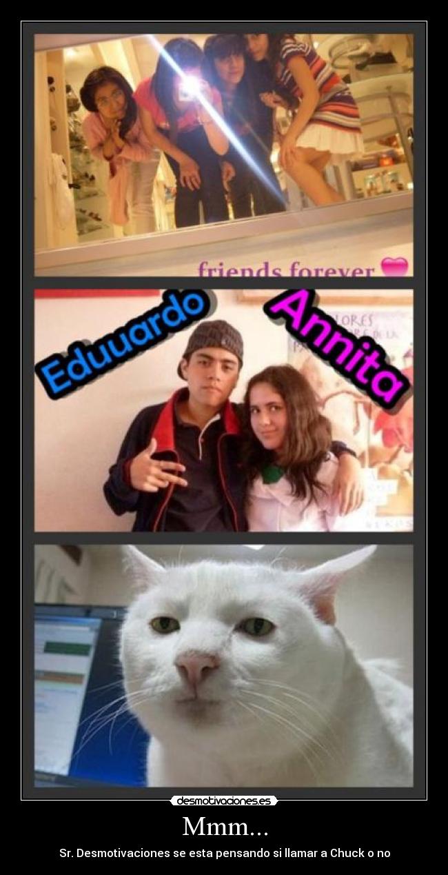 carteles lelilela desmotivaciones