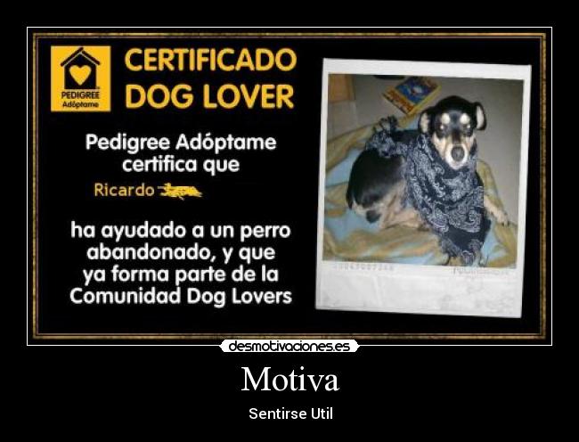 carteles perro abandonados perigri adoptame desmotivaciones