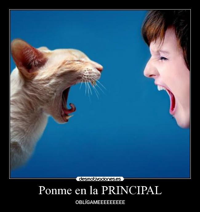 Ponme en la PRINCIPAL - 