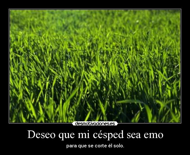 Deseo que mi césped sea emo -