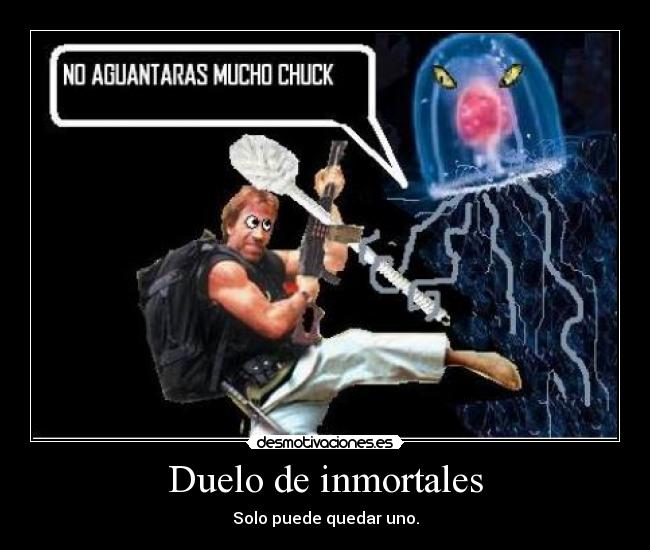 Duelo de inmortales - Solo puede quedar uno.