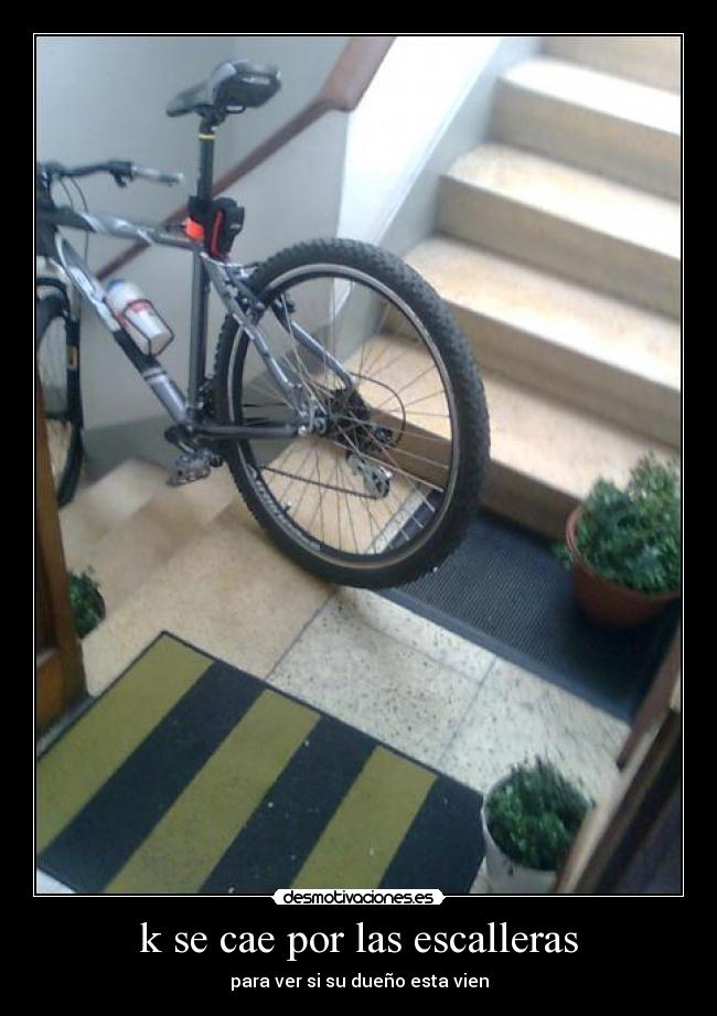 k se cae por las escalleras - para ver si su dueño esta vien