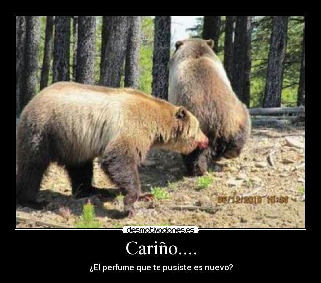 Cariño.... -