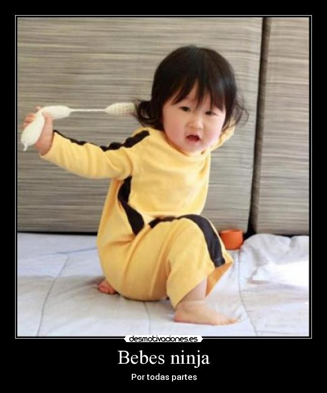 Bebes ninja - Por todas partes