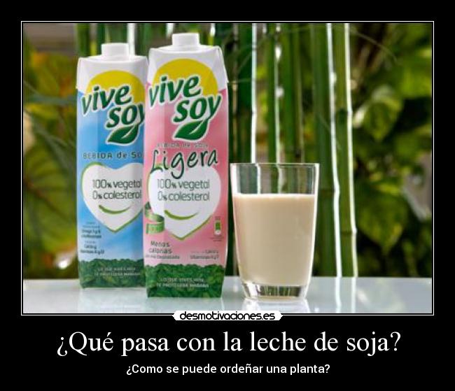 ¿Qué pasa con la leche de soja? - ¿Como se puede ordeñar una planta?