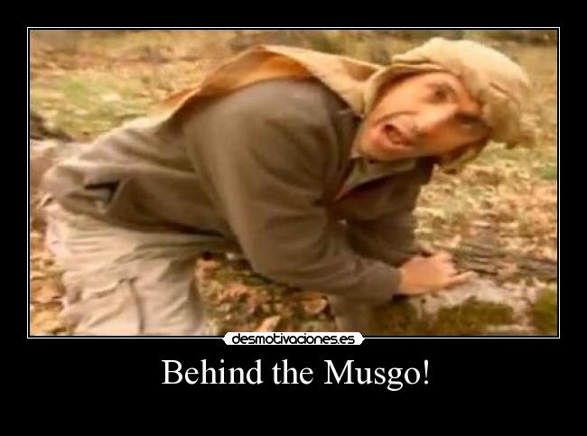 Behind the Musgo! -
