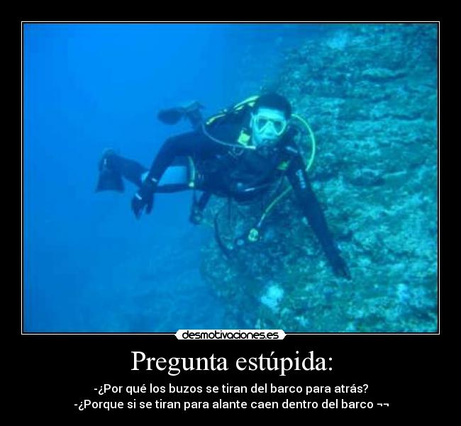 Pregunta estúpida: - 