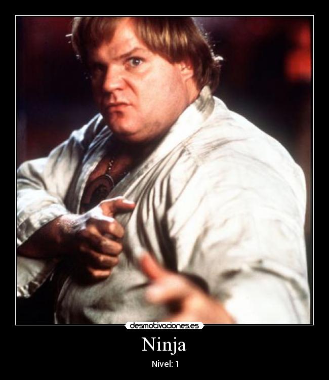Ninja - Nivel: 1