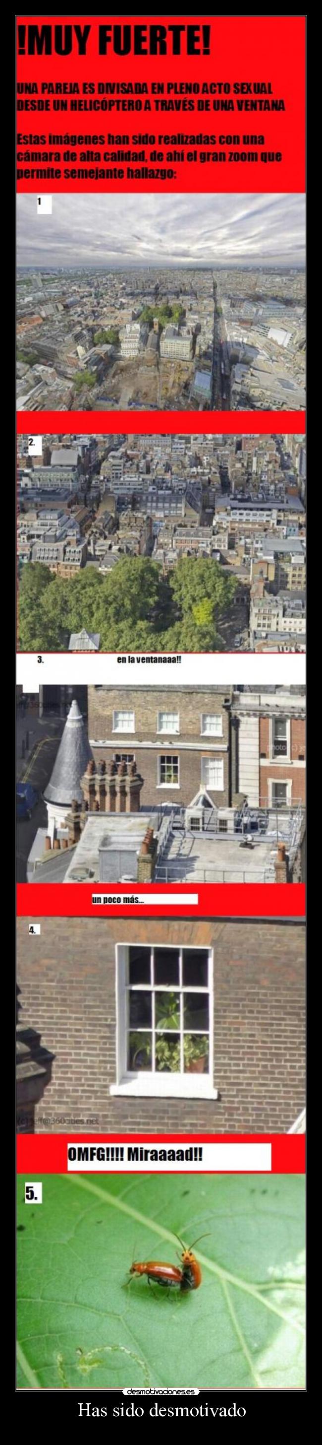 Has sido desmotivado -