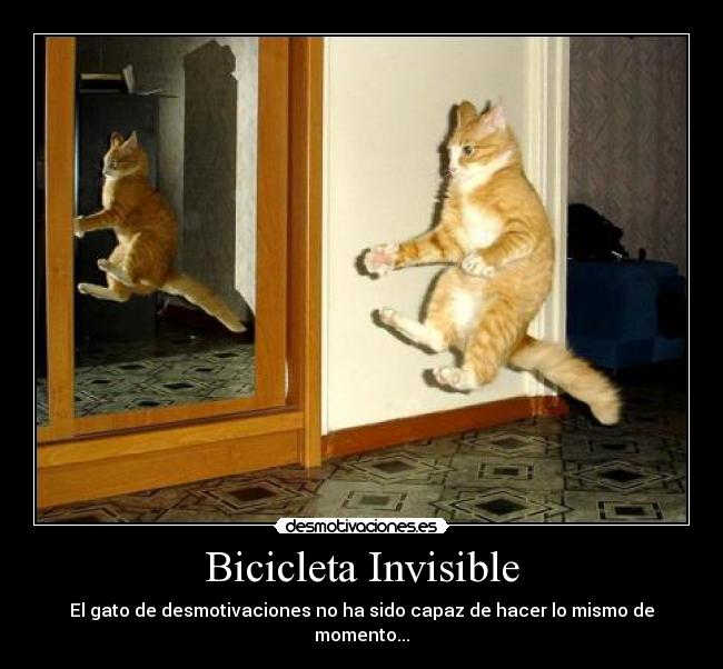 Bicicleta Invisible - El gato de desmotivaciones no ha sido capaz de hacer lo mismo de momento...