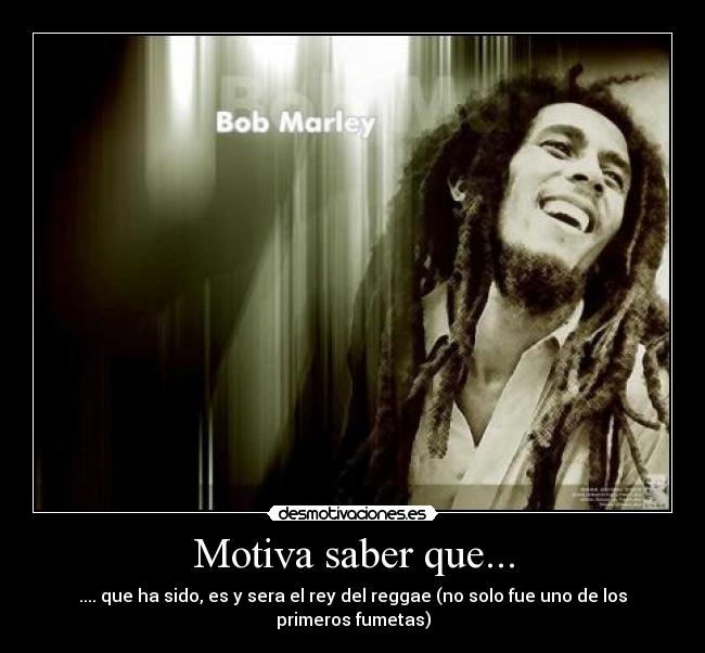 carteles rey del reggae desmotivaciones