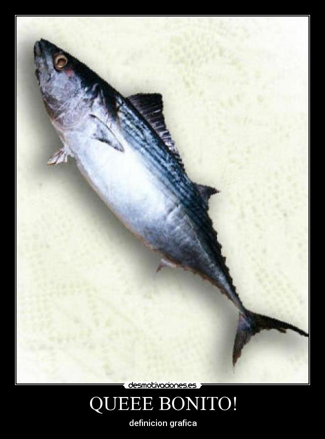 QUEEE BONITO! -
