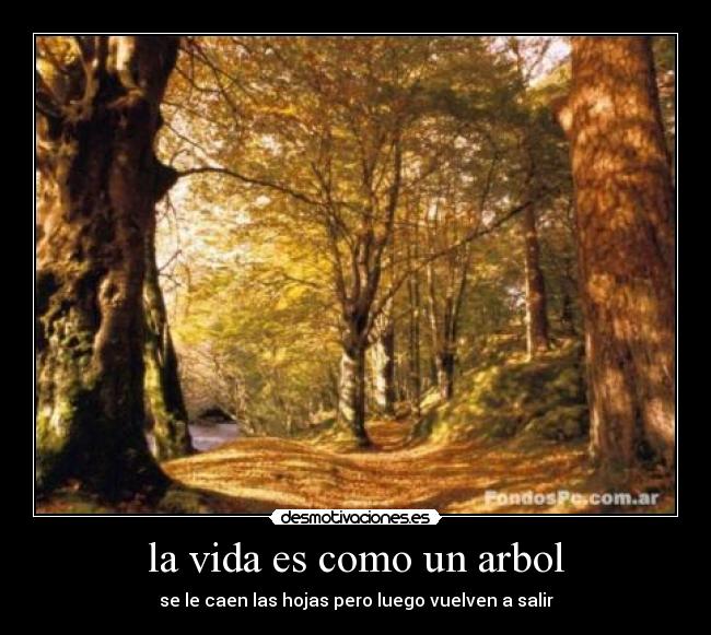 la vida es como un arbol - 