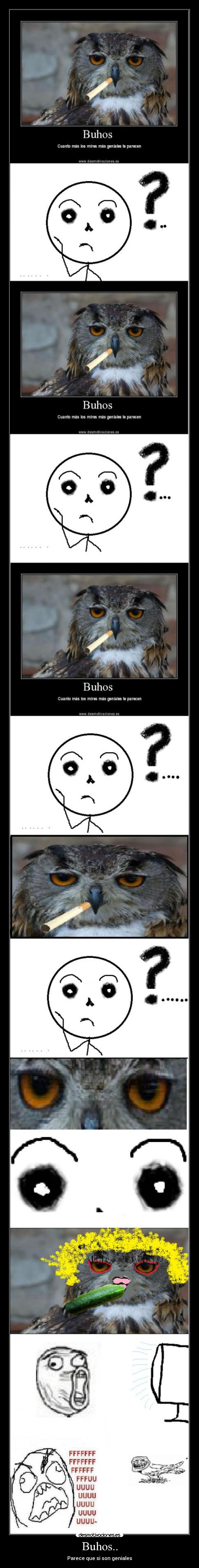 Buhos.. - 