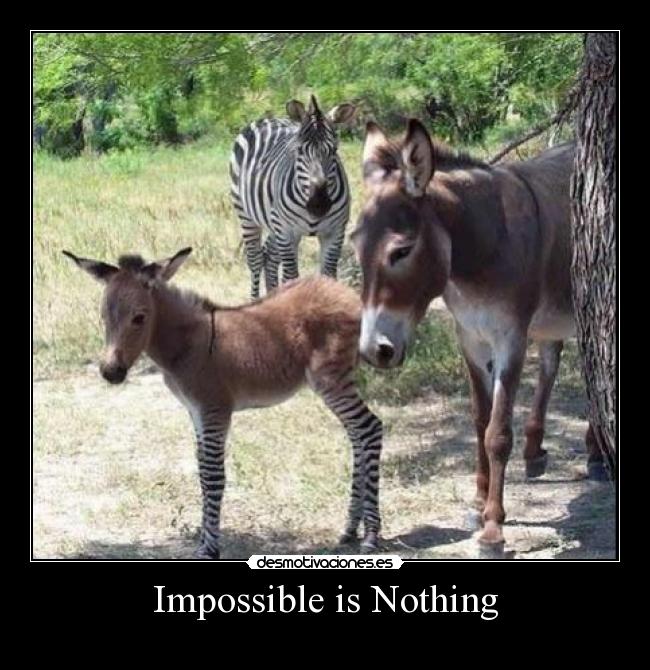 Impossible is Nothing -