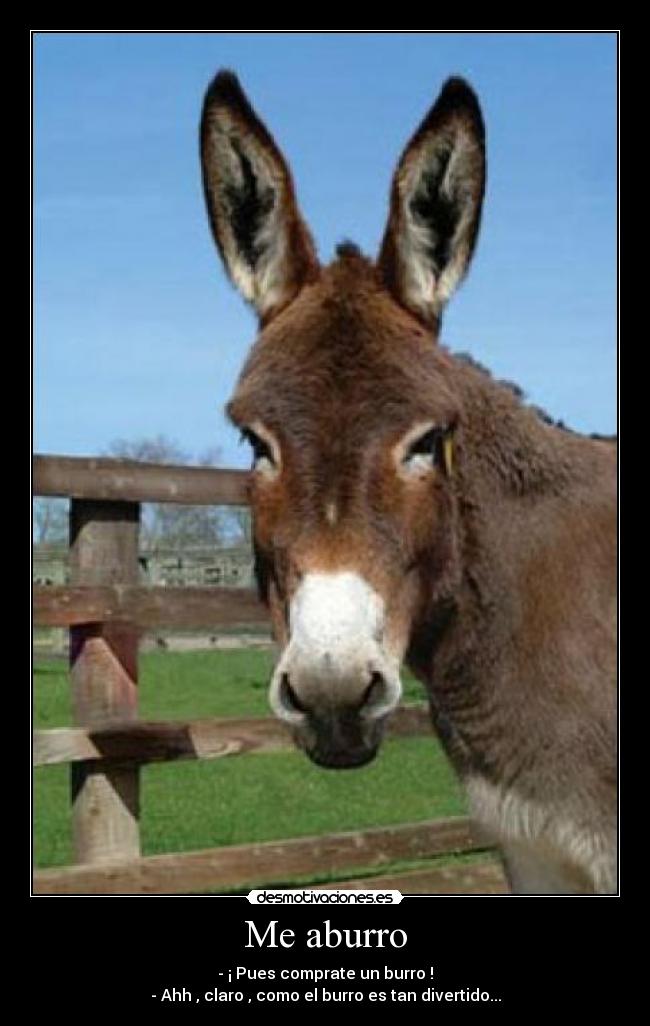 Me aburro - - ¡ Pues comprate un burro !
- Ahh , claro , como el burro es tan divertido...