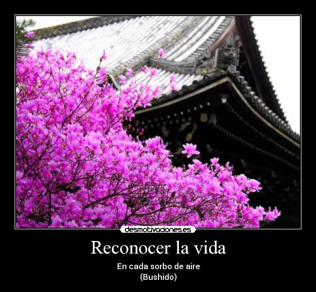 Reconocer la vida -
