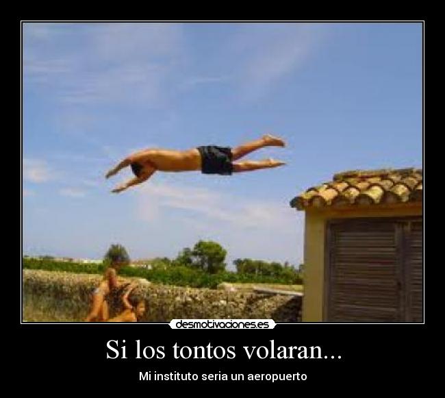 Si los tontos volaran... - 