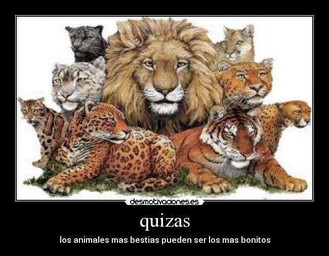 quizas - los animales mas bestias pueden ser los mas bonitos