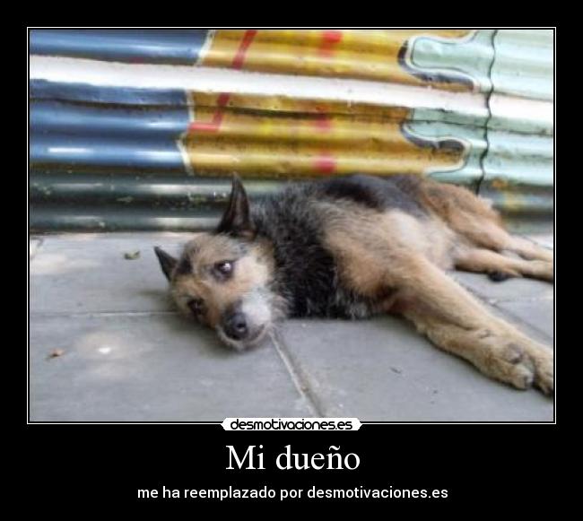 Mi dueño -