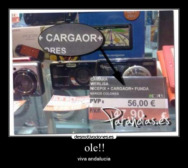 ole!! - viva andalucia