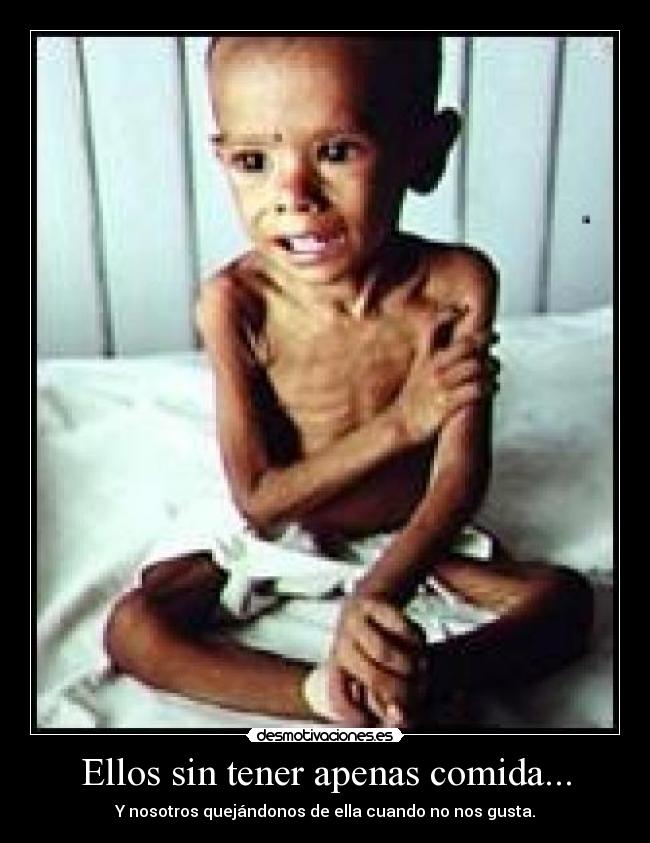 carteles comida pobreza desmotivaciones
