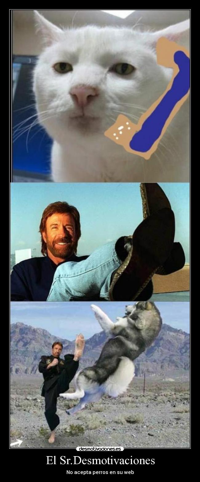 El Sr.Desmotivaciones - 