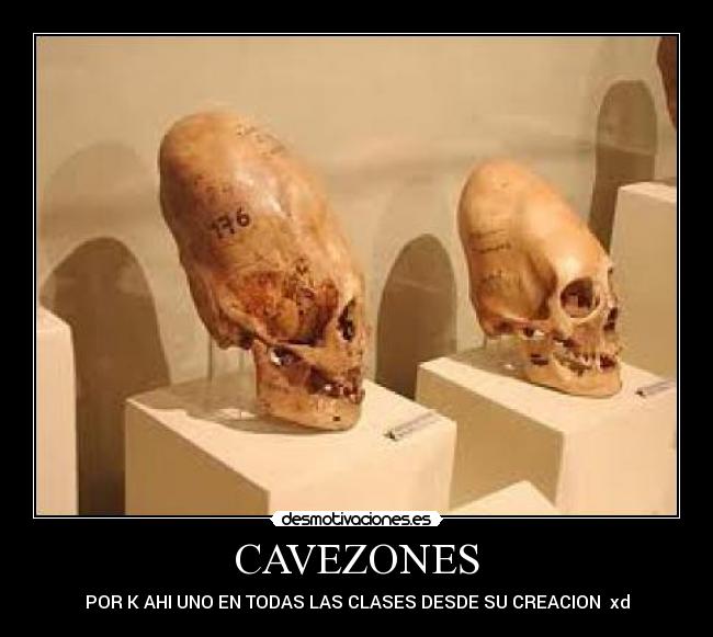 CAVEZONES - 
