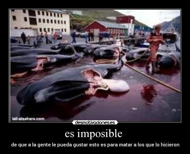 es imposible - de que a la gente le pueda gustar esto es para matar a los que lo hicieron