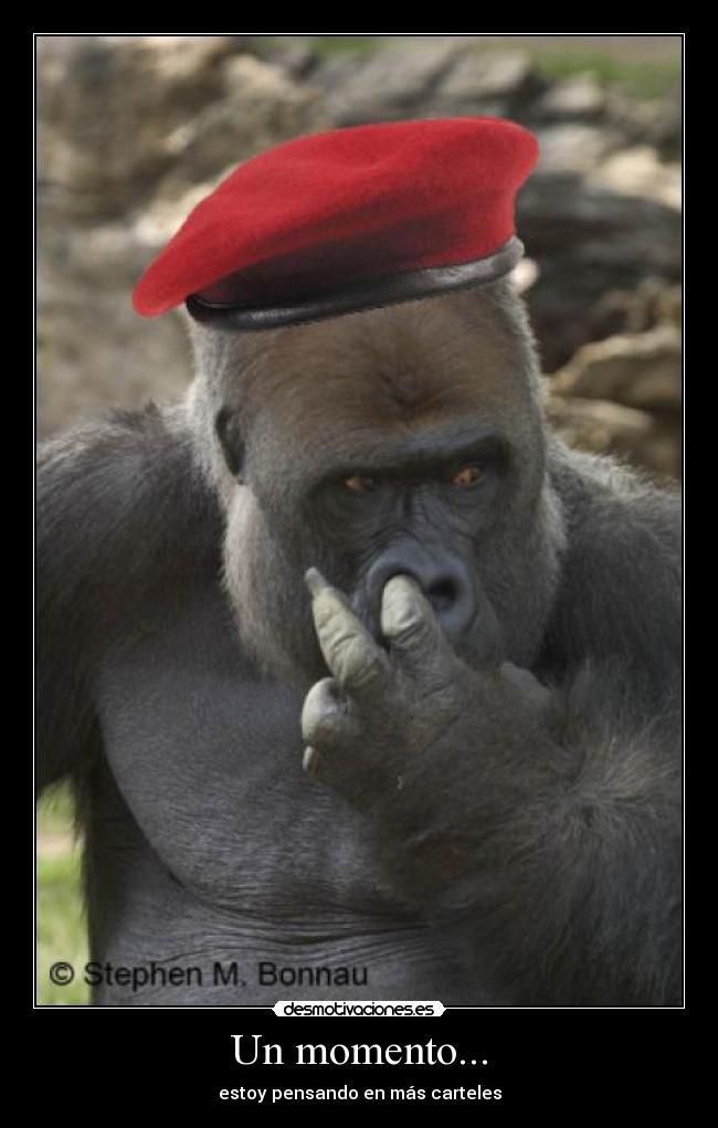 Un momento... - estoy pensando en más carteles