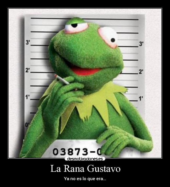 La Rana Gustavo - 