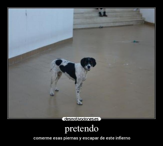 pretendo - comerme esas piernas y escapar de este infierno