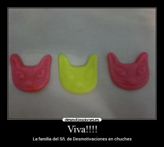 Viva!!!! - La familia del Sñ. de Desmotivaciones en chuches