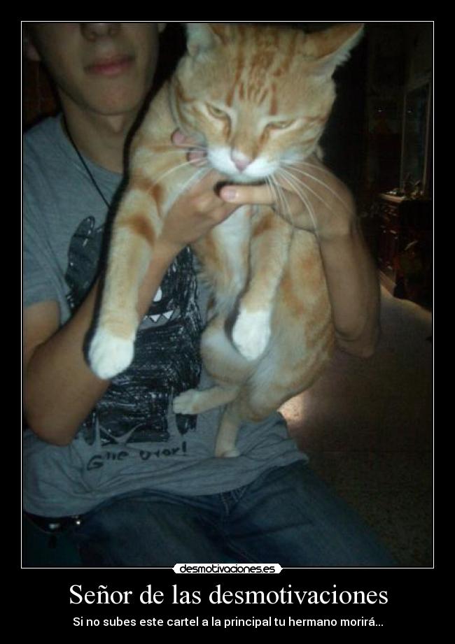 Señor de las desmotivaciones -