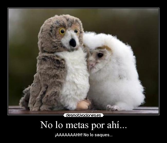 No lo metas por ahí... - ¡AAAAAAAHH! No lo saques...