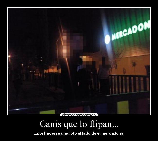 Canis que lo flipan... - 