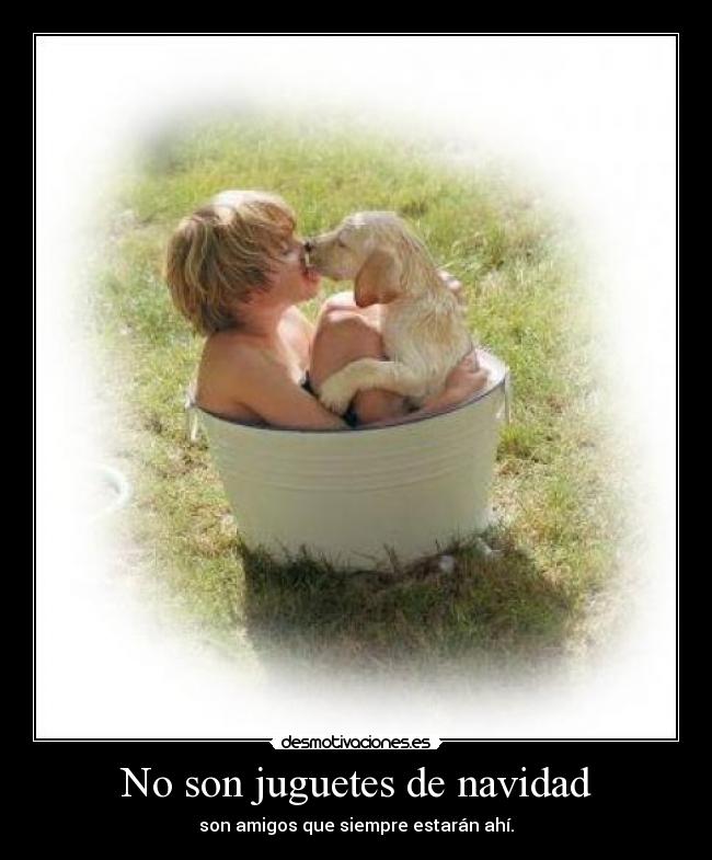 No son juguetes de navidad -