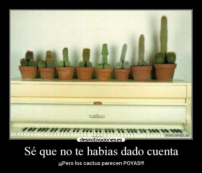 Sé que no te habias dado cuenta - 