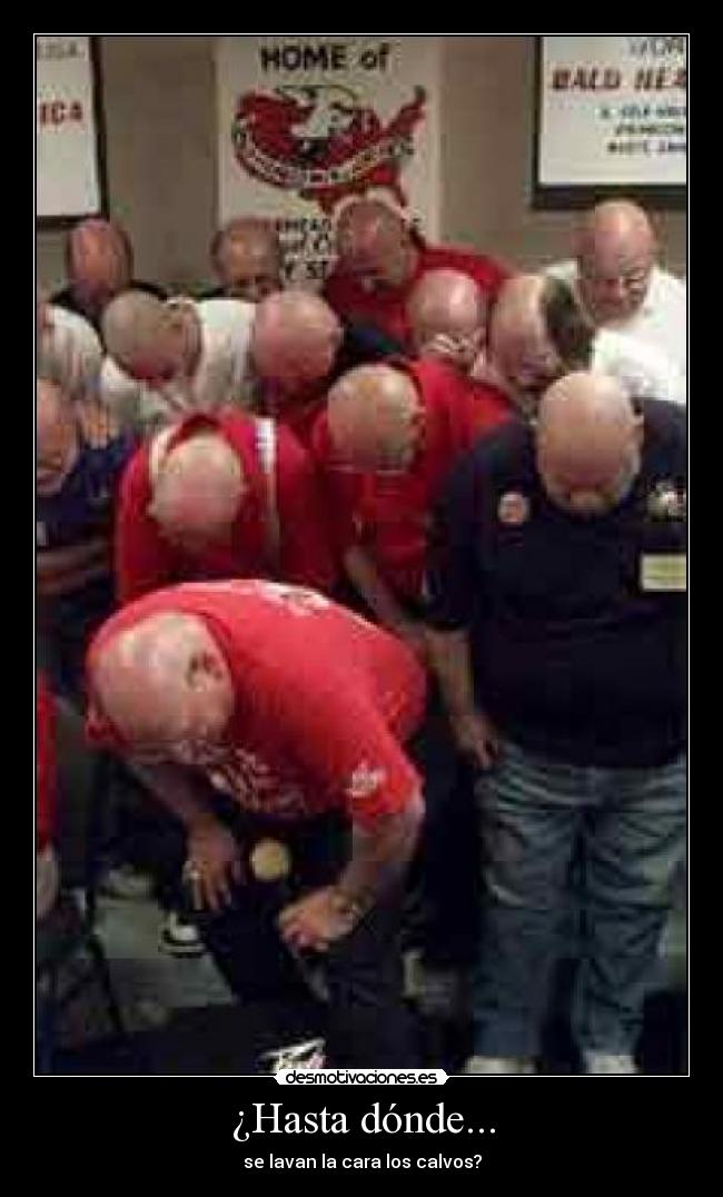 carteles desmotivaciones